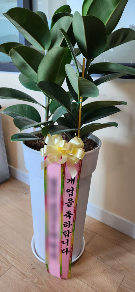 커스텀와이? 뭐 하는 곳이야?